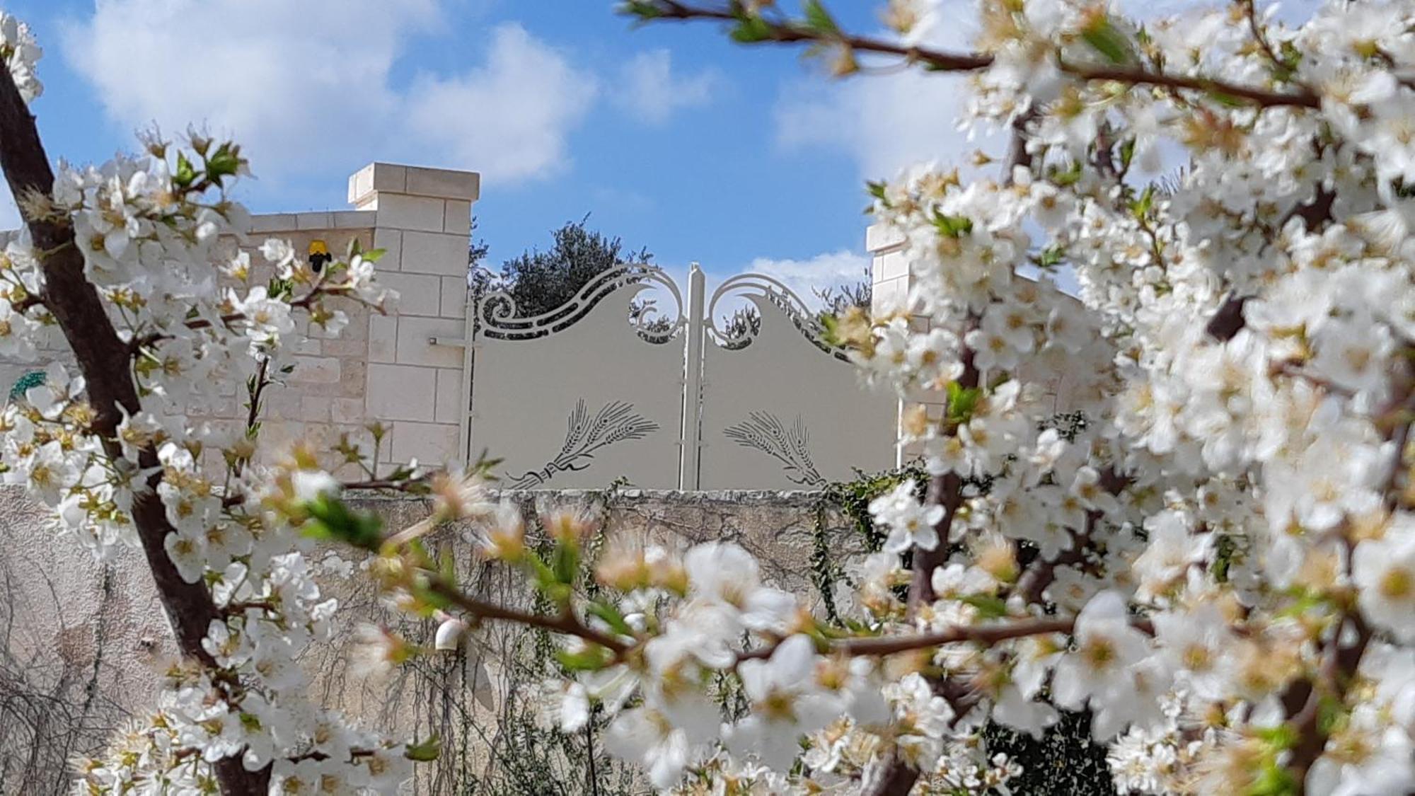 Villa Karmel Valle D'Itria Cisternino Exteriör bild